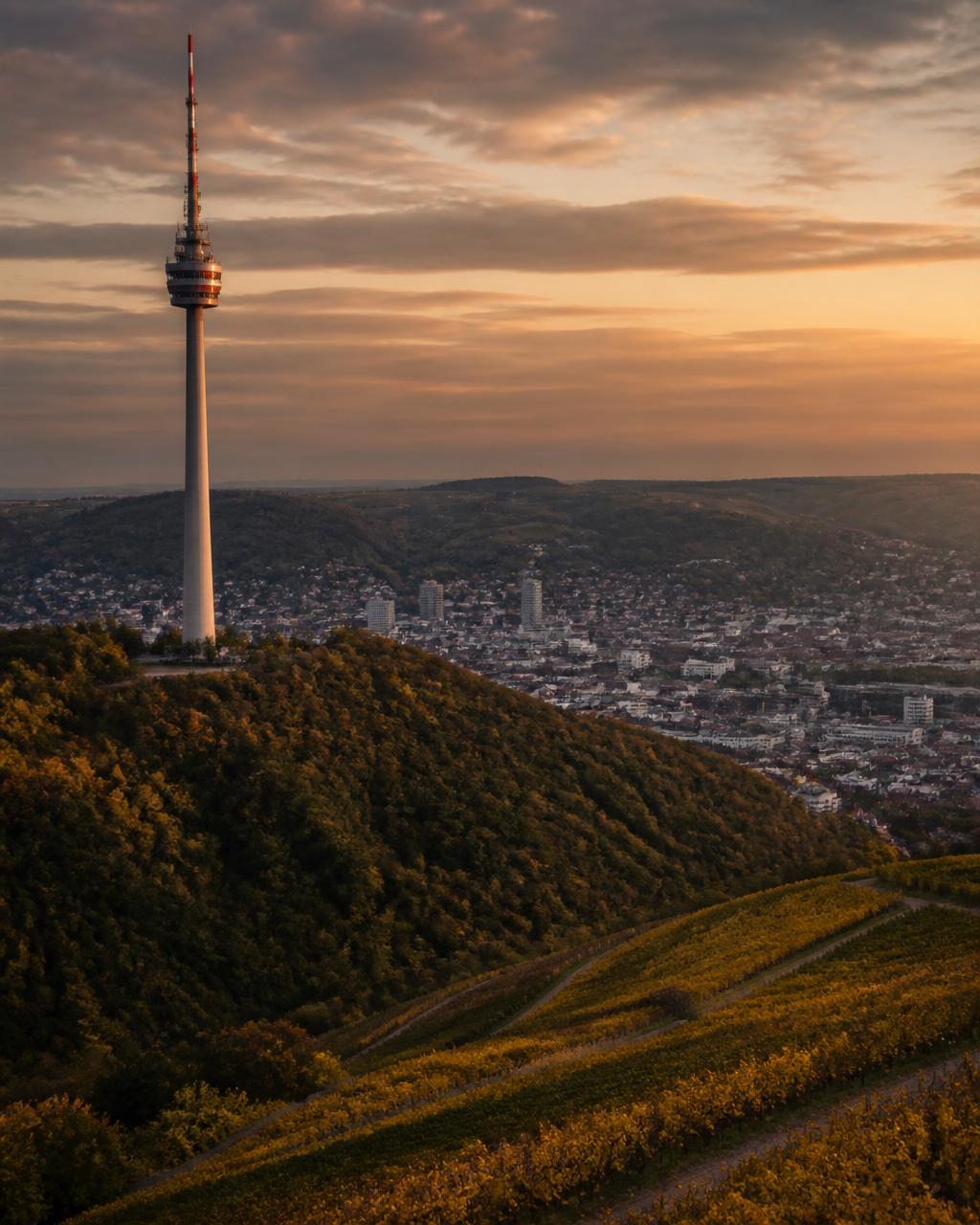 Stuttgart – Fitness- und Sportstudios